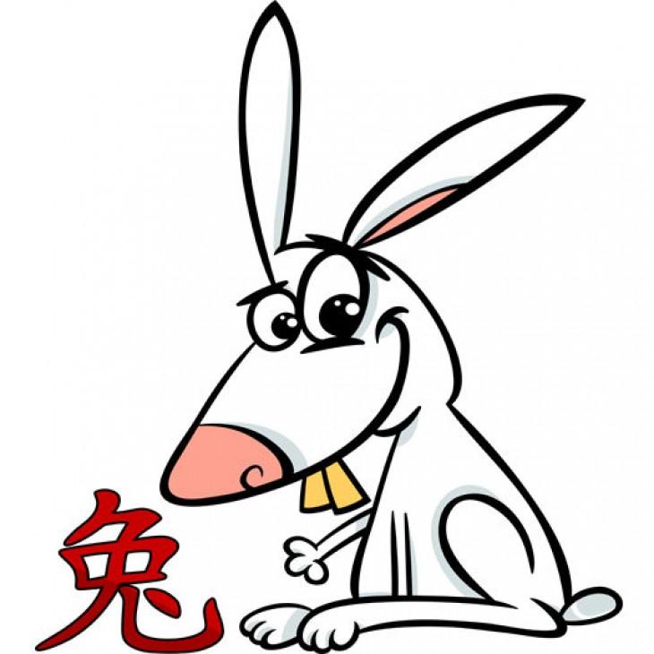 Год кролика человек. Кролик символ года. Символы китайского гороскопа кролик. Забавные символы года кролик. Заяц Восточный календарь.