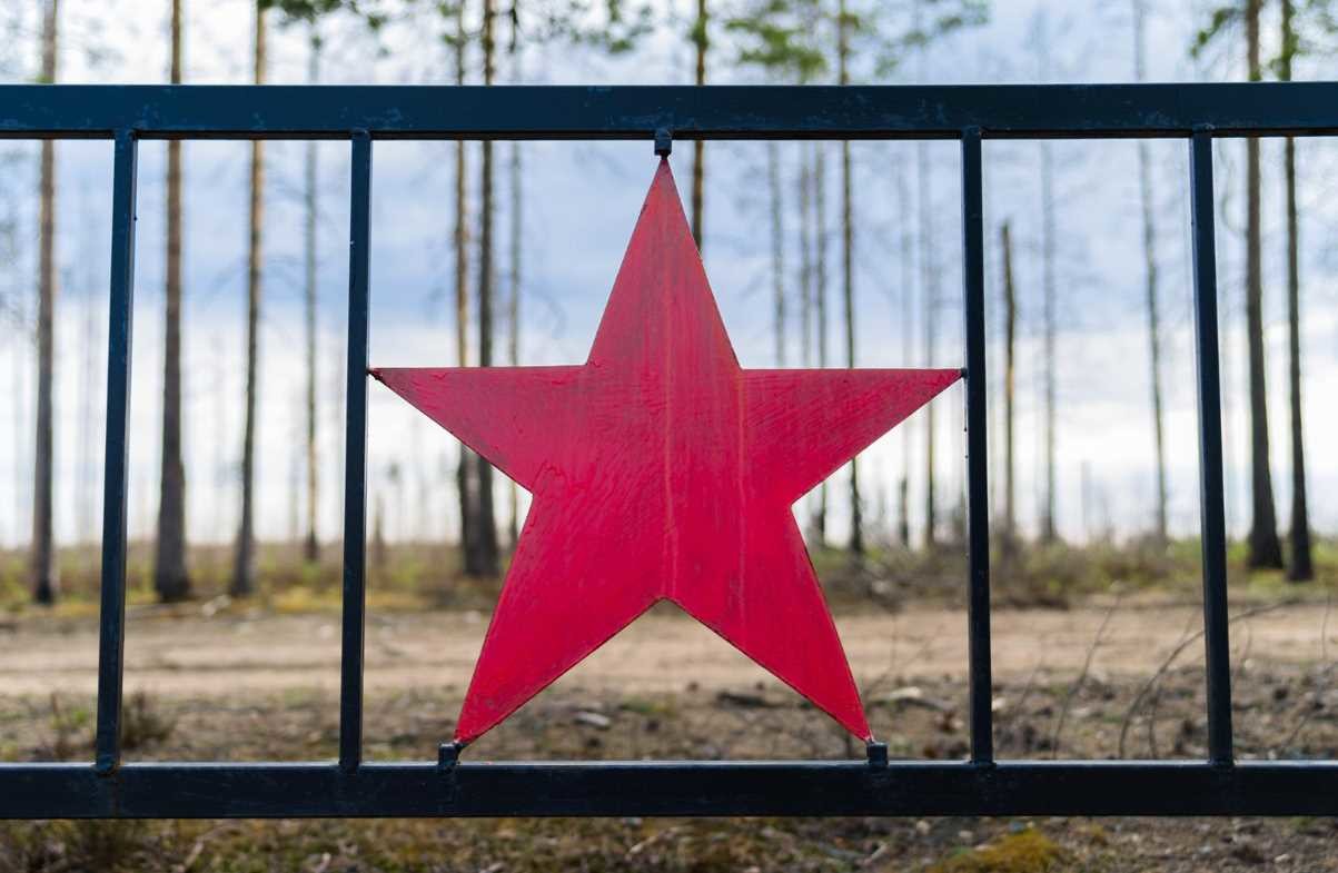 Тест о Великой Отечественной войне: угадайте, где правда, а где ложь!