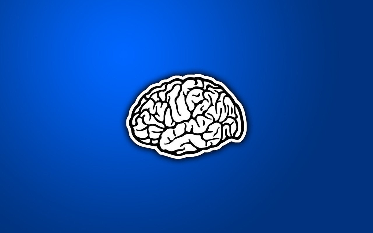 Мозг картинка минимализм