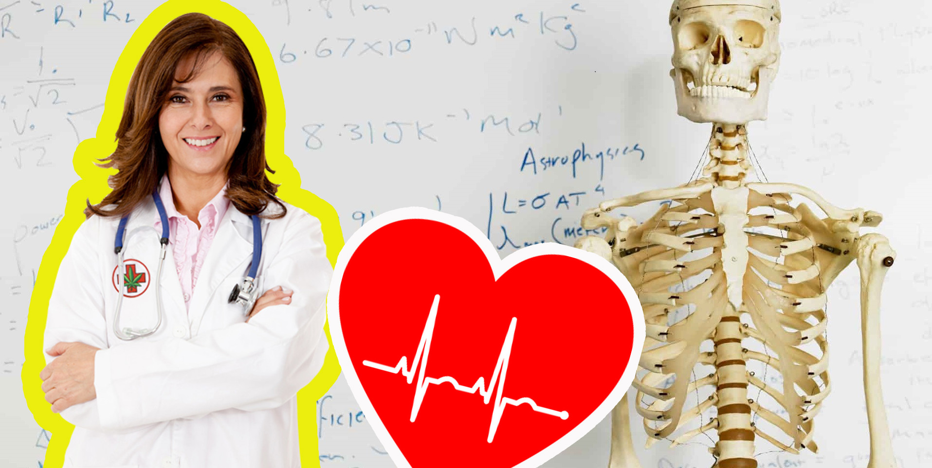 Тест по анатомии: вопросы из базовых знаний для медиков
