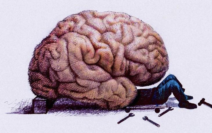 Тест: факты о мозге, которых возможно Вы не знали