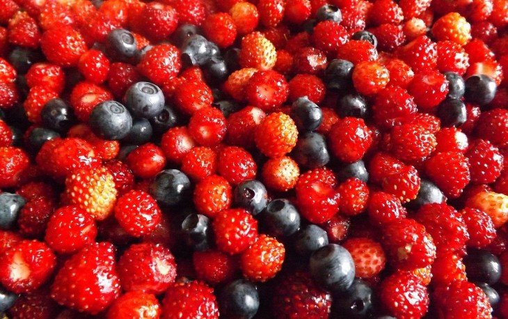 Тест: проверь, сможешь ли ты отличить съедобные и несъедобные ягоды