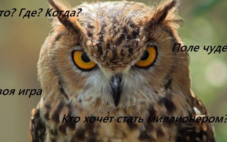 Как сделать тест про деньги. Смотреть фото Как сделать тест про деньги. Смотреть картинку Как сделать тест про деньги. Картинка про Как сделать тест про деньги. Фото Как сделать тест про деньги