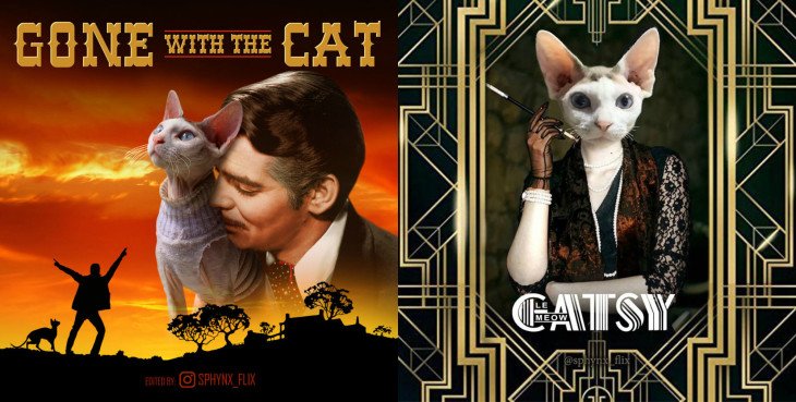 14 фото о том, как выглядели бы знаменитые фильмы, если бы главными героями в них были кошки-сфинксы
