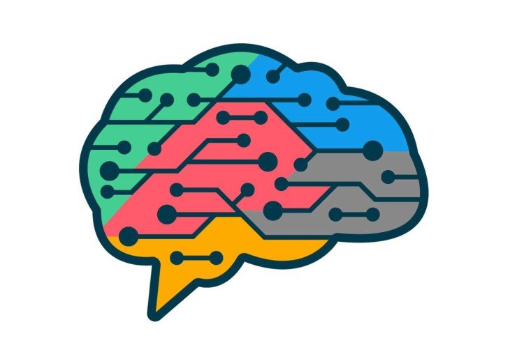Тест "Правда или ложь": научно - образовательный тест с запутанными вопросами о самом загадочном органе человека - мозге