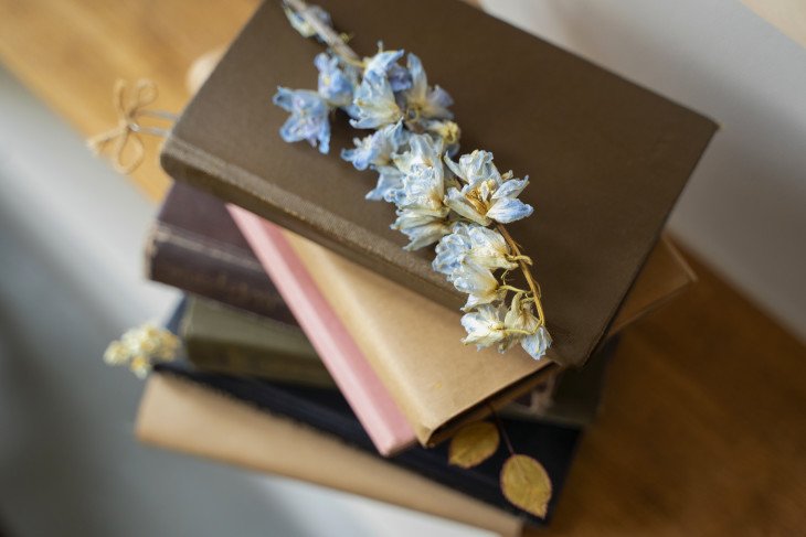 Квест по Классике: Угадаете ли вы книгу по краткому описанию?