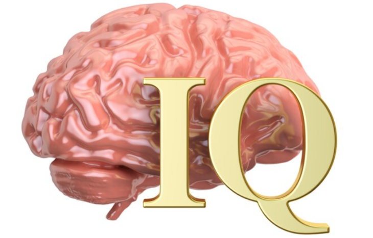 Умный VS Умнейший: Пройди IQ-тест и узнай свой статус!